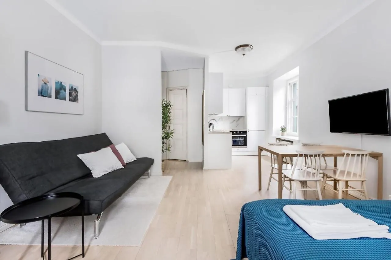 Wehost Modern Scandinavian Studio In Trendy Kallio Helsinki